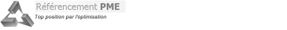 optimisation web Montréal